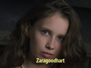 Zaragoodhart